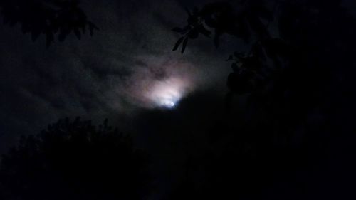 Low angle view of trees against sky