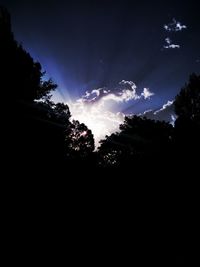 Low angle view of silhouette trees against sky at night