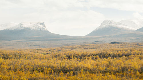 Mountain landscape