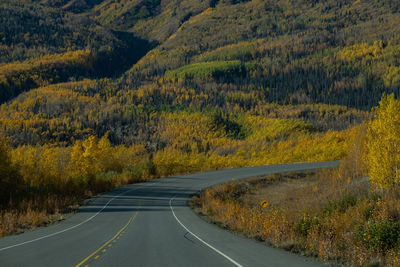 Road amidst trees during autumn