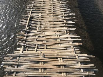 Stack of logs in the forest
