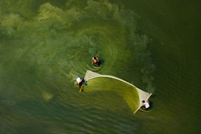 High angle view of ducks swimming in lake