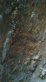 Close-up of rock formations