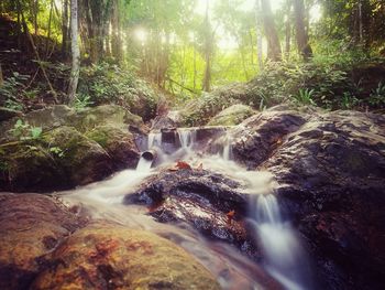 Waterfall in forest