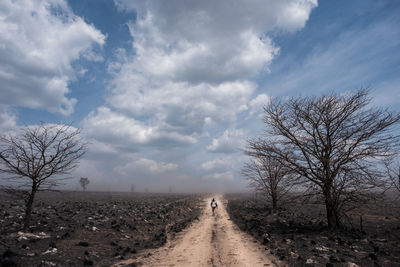 Dirt road along bare trees and landscape against sky