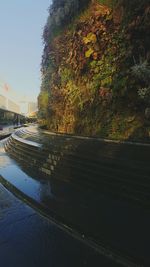 Reflection of tree on wet road against sky