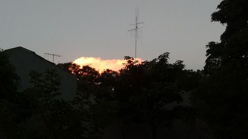 Scenic view of trees against sky at sunset