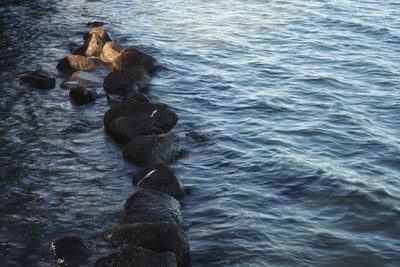 High angle view of rocks in sea