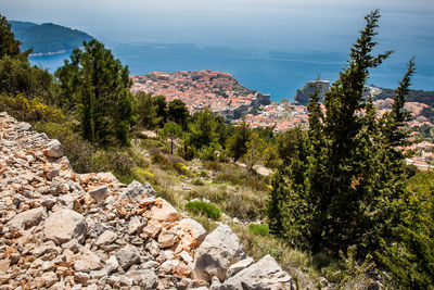 High angle view of trees by sea against sky