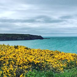 Scenic view of sea against cloudy sky