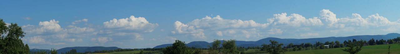 Panoramic view of trees on landscape against sky