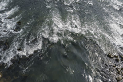 Full frame shot of swimming in sea