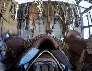 Low angle view of statues