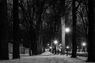 Illuminated street amidst trees during winter at night