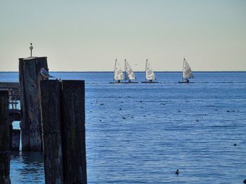 Scenic view of sea against blue sky