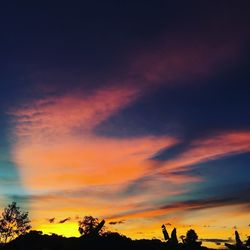 Low angle view of silhouette trees against dramatic sky