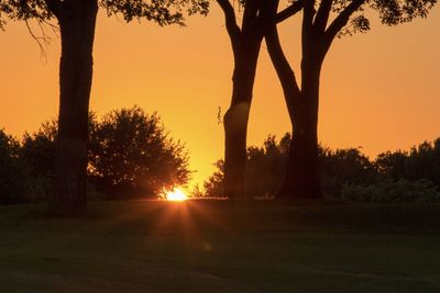 Silhouette trees on landscape against sky during sunset