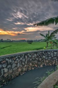 Scenic view of field against sky during sunset