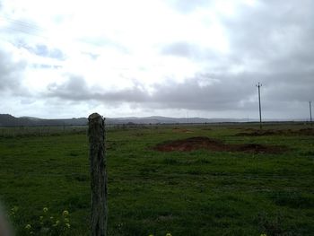 Scenic view of field against sky