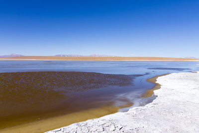 Scenic view of beach against clear blue sky