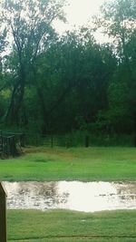 Pond in park