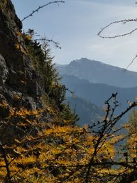 Overlooking tatra mountains 