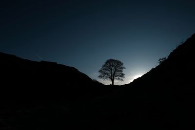 Silhouette trees on mountain against clear sky