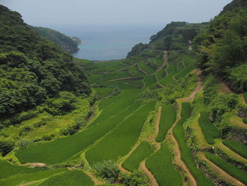 Scenic view of agricultural landscape against sky