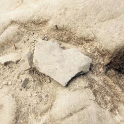 Close-up of heart shape on rock