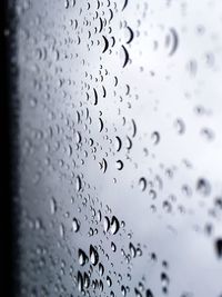Close-up of water drops on rainy day