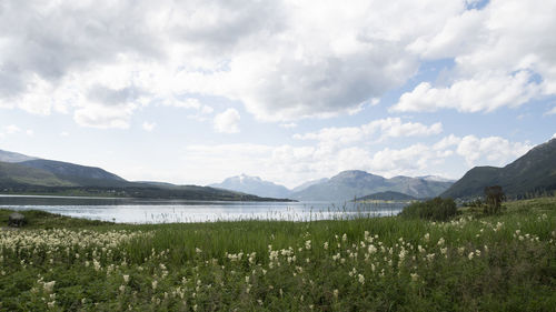 Scenic view of lake against sky