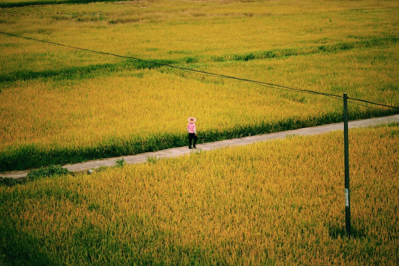 agriculture, field, one person, farm, adults only, only women, grass, rural scene, one woman only, farmer, nature, adult, growth, standing, outdoors, protection, people, women, cereal plant, real people, landscape, day, working, full length, one young woman only, farm worker, beauty in nature, young adult