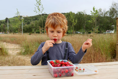 The boy lowered his eyes and took a bite of his cherry. a five-year-old boy eats fruit outdoors. 