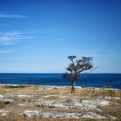 Scenic view of sea against blue sky