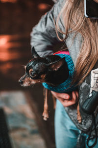 Midsection of person holding small dog