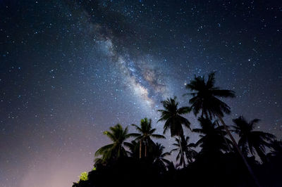 Low angle view of silhouette trees against sky at night