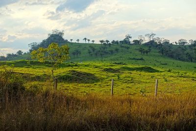 Scenic view of field against cloudy sky