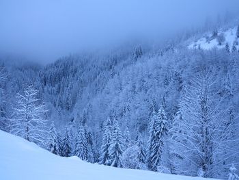 Snow covered landscape against sky