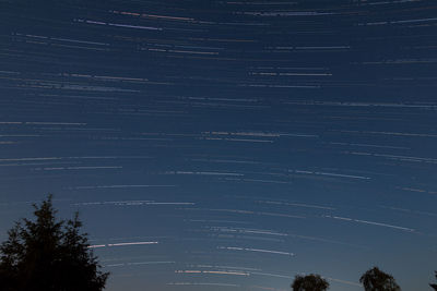 Trees against sky at night