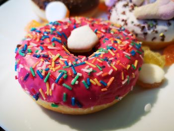 Close-up of dessert served on table