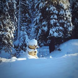 Snow covered trees against sky