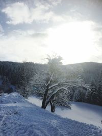 Scenic view of snow field against sky