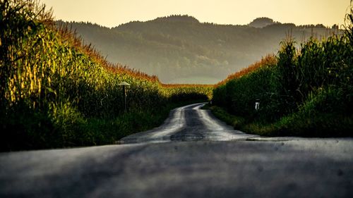 Road amidst field against sky