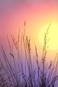 Scenic view of sunset
