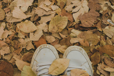 Low section of woman standing on autumn leaves