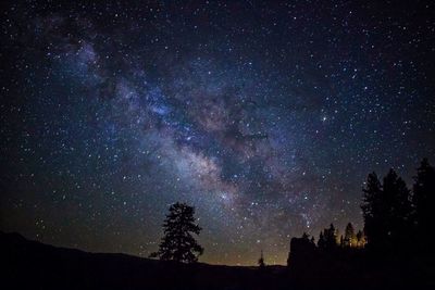 Low angle view of silhouette trees against star field at night