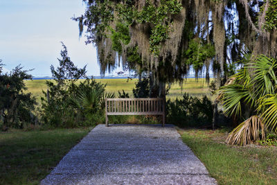 Footpath amidst trees in park against sky