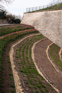 View of stone wall