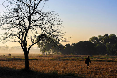 Woman with horse on field against sky