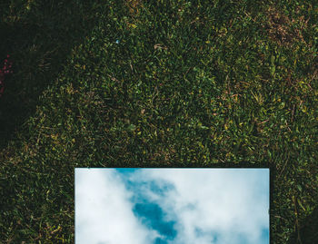 High angle view of trees on field